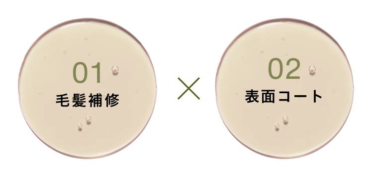 01 毛髪補修 × 02 表面コート