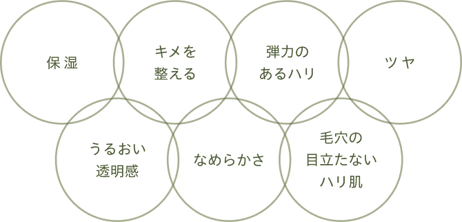 保湿、キメを整える、弾力のあるハリ、ツヤ、うるおい透明感、なめらかさ、毛穴の目立たないハリ肌