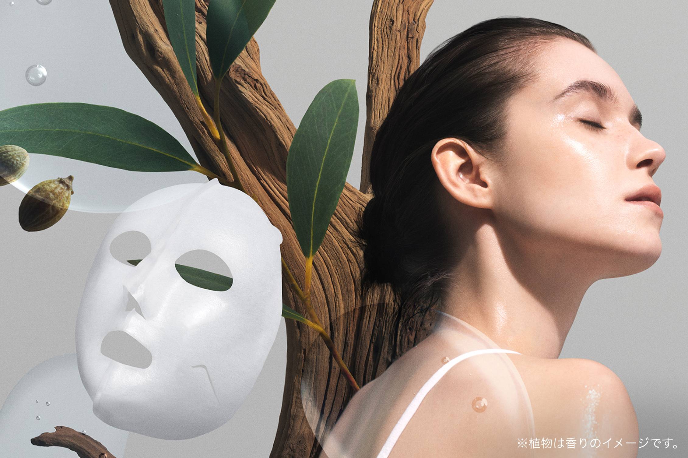 ※植物は香りのイメージです。