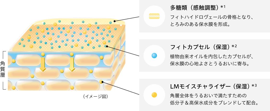 多糖類(感触調整)*1:フィトハイドロヴェールの骨格となり、とろみのある保水膜を形成。フィトカプセル(保湿) *2:植物由来オイルを内包したカプセルが、保水膜の心地よさとうるおいに寄与。LMモイスチャライザー(保湿)*3:角層全体をうるおいで満たすための低分子&高保水成分をブレンドして配合。