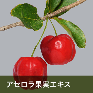 アセロラ果実エキス