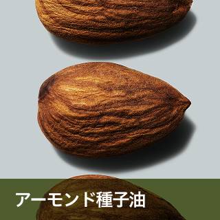 アーモンド種子油