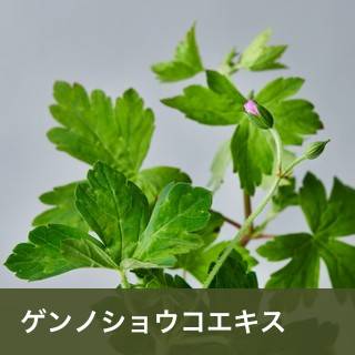 ゲンノショウコエキス