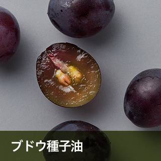 ブドウ種子油