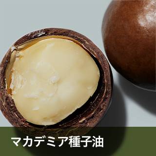 マカデミア種子油