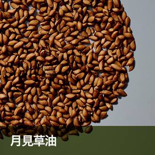 月見草油
