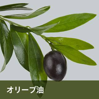 オリーブ油