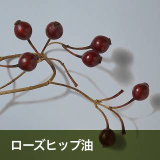 ローズヒップ油