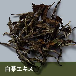 白茶エキス