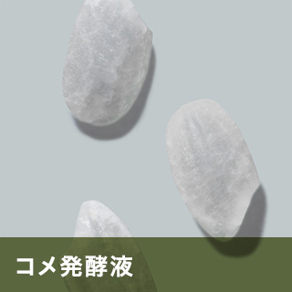 コメ発酵液