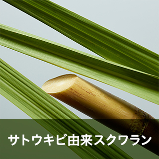 サトウキビ由来スクワラン