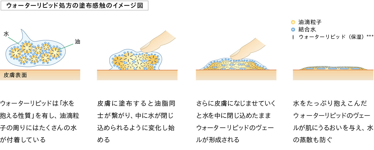 ウォーターリピッド処方の塗布感触のイメージ図 / ウォーターリピッドは「水を抱える性質」を有し、油滴粒子の周りにはたくさんの水が付着している / 皮膚に塗布すると油脂同士が繋がり、中に水が閉じ込められるように変化し始める / さらに皮膚になじませていくと水を中に閉じ込めたままウォーターリピッドのヴェールが形成される / 水をたっぷり抱えこんだウォーターリピッドのヴェールが肌にうるおいを与え、水の蒸散も防ぐ