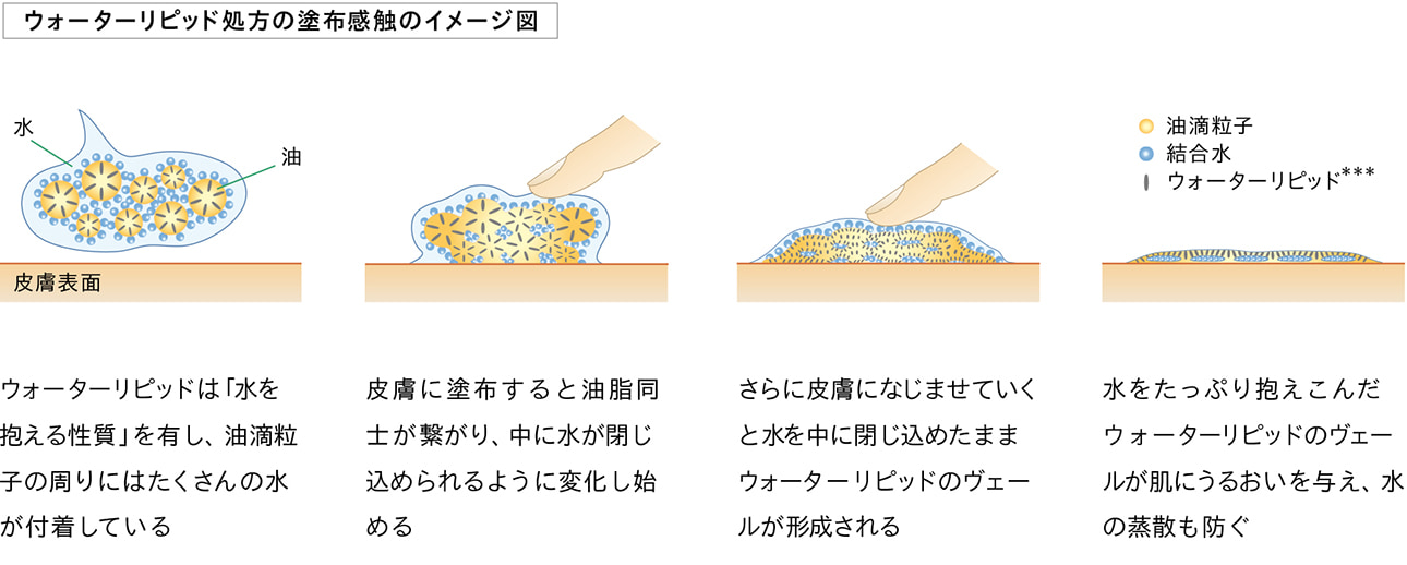 ウォーターリピッド処方の塗布感触のイメージ図 / ウォーターリピッドは「水を抱える性質」を有し、油滴粒子の周りにはたくさんの水が付着している / 皮膚に塗布すると油脂同士が繋がり、中に水が閉じ込められるように変化し始める / さらに皮膚になじませていくと水を中に閉じ込めたままウォーターリピッドのヴェールが形成される / 水をたっぷり抱えこんだウォーターリピッドのヴェールが肌にうるおいを与え、水の蒸散も防ぐ