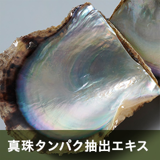 真珠タンパク抽出エキス