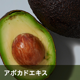 アボカドエキス