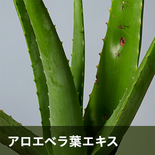 アロエベラ葉エキス