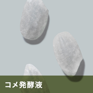 コメ発酵液