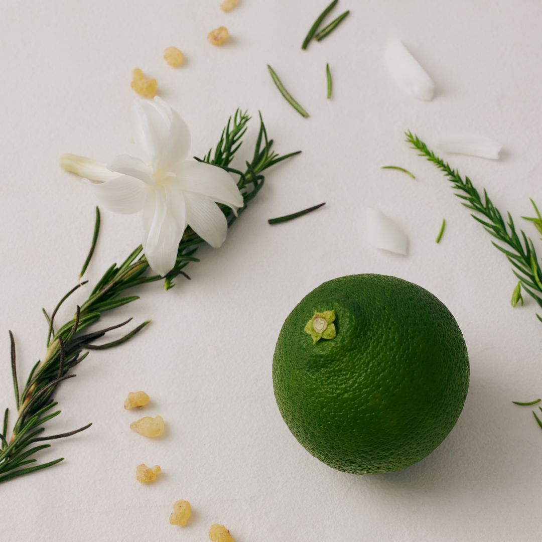 スムースジェリーセラム 詳細画像 4枚中3枚目