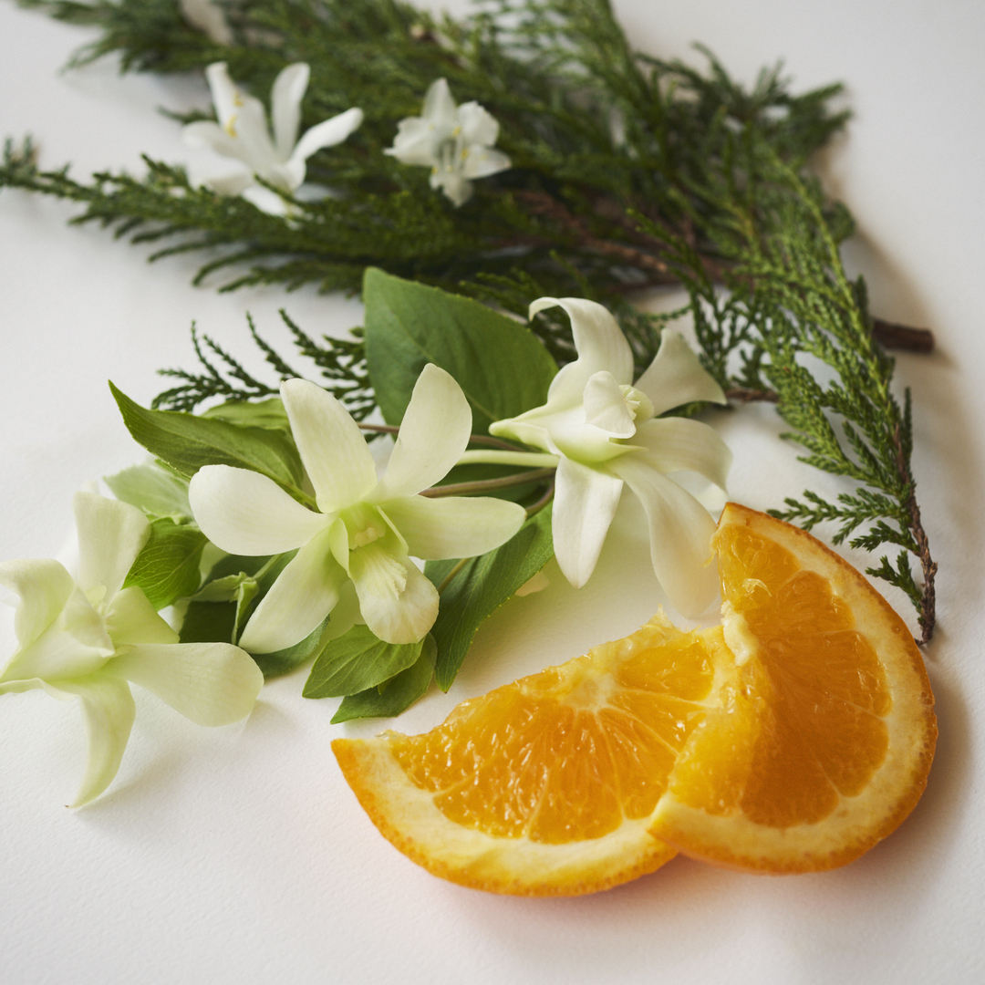 トーニングセラム 詳細画像 5枚中4枚目