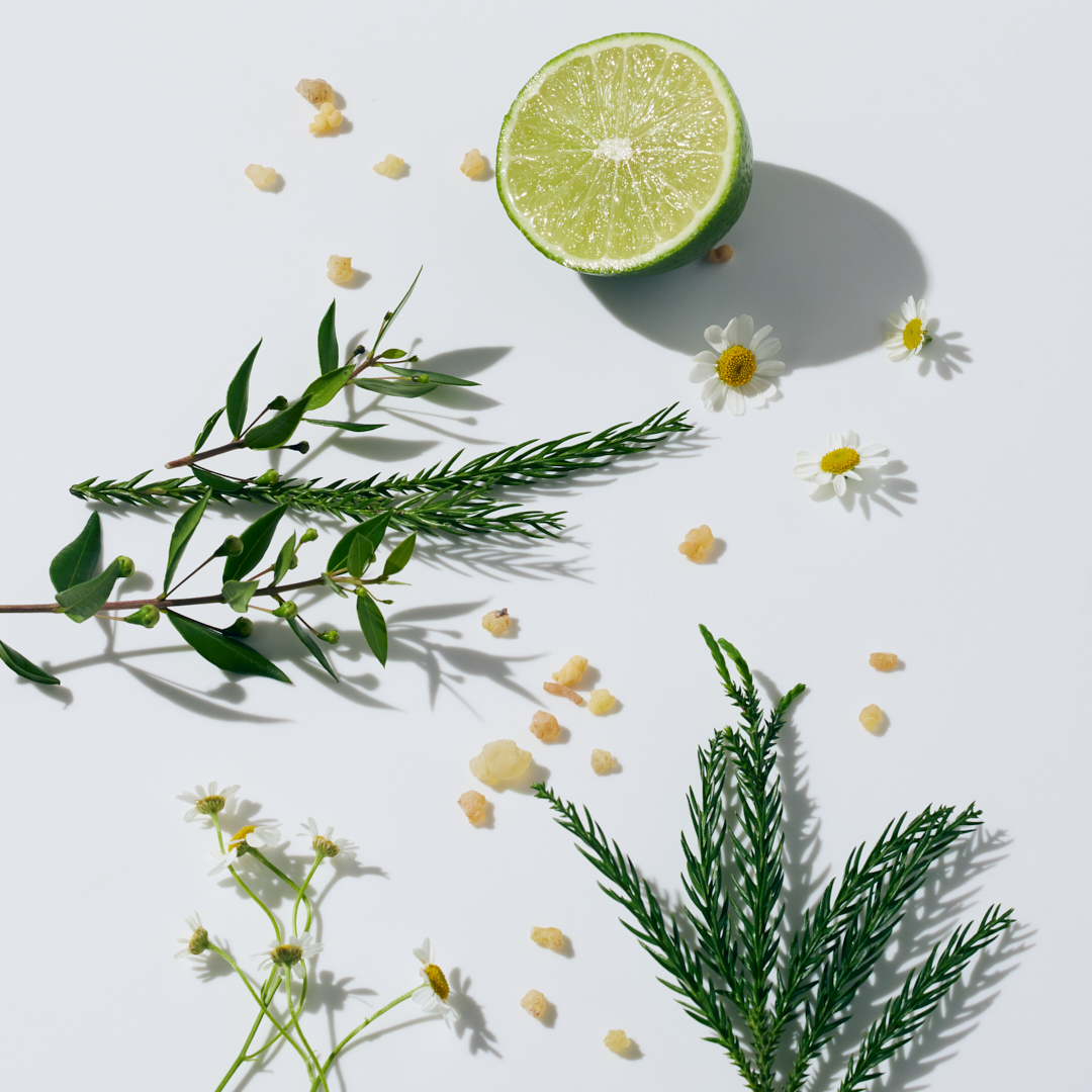 アイゾーンケアクリーム 詳細画像 4枚中4枚目