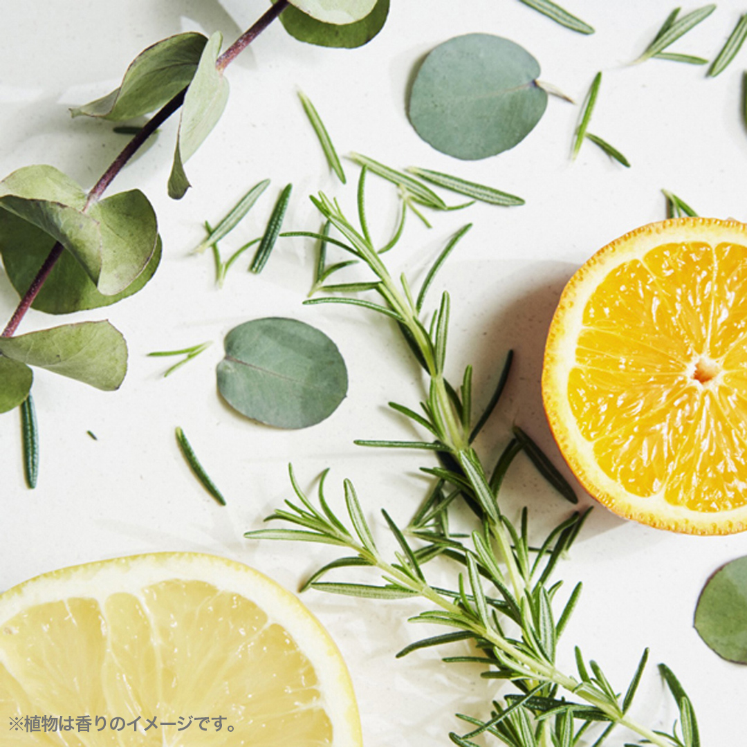 リフレッシュ ヘア&ボディシャンプー 詳細画像 4枚中3枚目